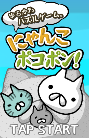 喵喵圆滚滚