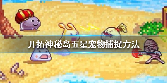 开拓神秘岛五星宠物怎么得