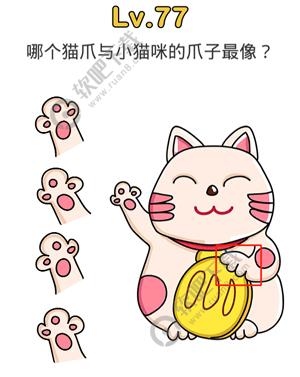 脑洞大师77关哪个猫爪与小猫咪的爪子最像过关答案