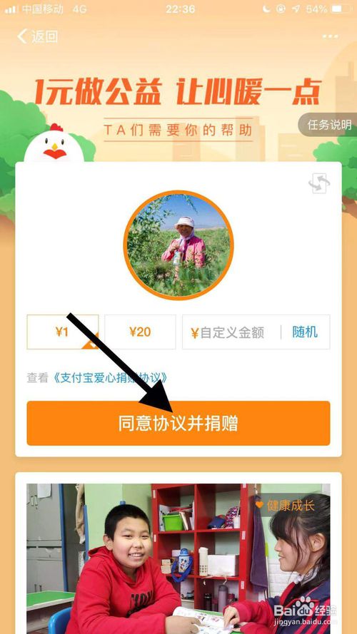 支付宝蚂蚁庄园饺子饲料怎么得