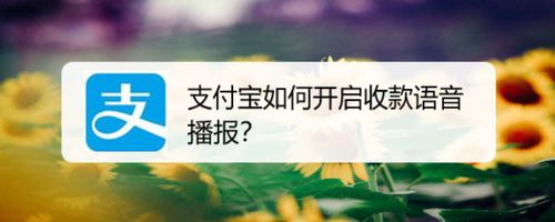 支付宝收款语音播报怎么打开