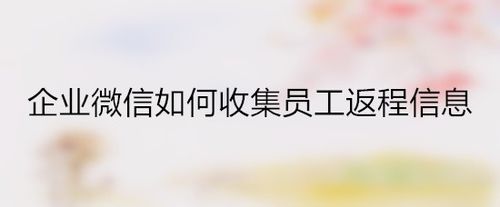 企业微信怎么记录员工返程信息