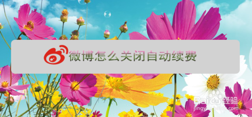 微博会员在哪关闭自动续费