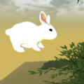 奔跑的兔子