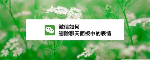 怎么清除微信中的表情