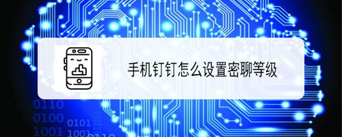 钉钉密聊私密等级怎么设置