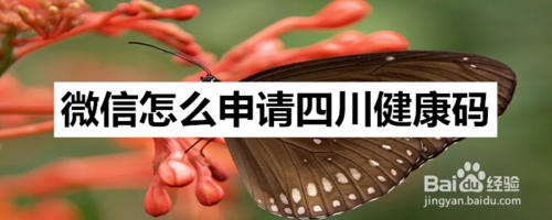 微信在哪申请健康码