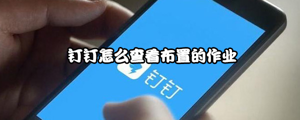 钉钉布置的作业在哪看