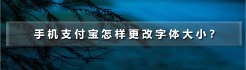 支付宝如何设置字体大小