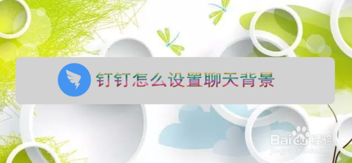 钉钉聊天怎么设置背景图片