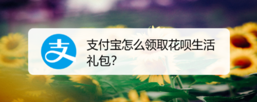 支付宝花呗生活礼包在哪领