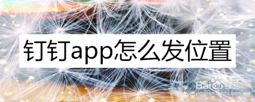 钉钉怎么发定位