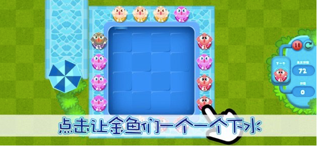 不羞的小金鱼