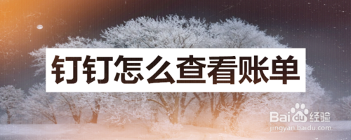 钉钉账单在哪看