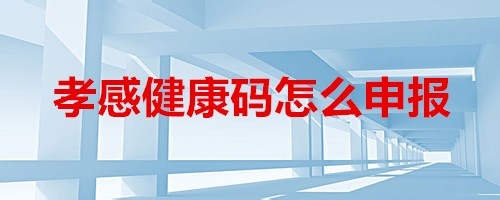 孝感健康码怎么领
