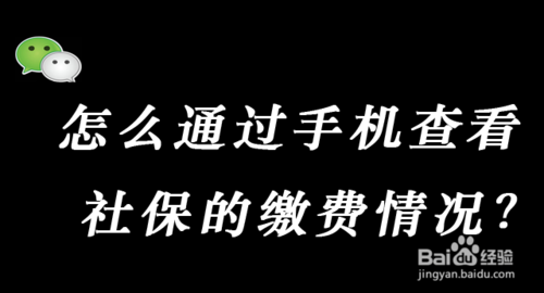 公积金缴纳的费用在哪查
