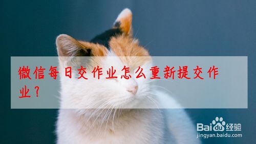 微信每日交作业已经提交的作业怎么重新编辑修改