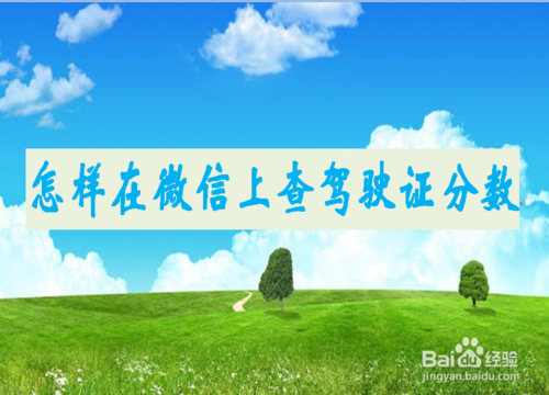 微信在哪可以查驾驶证分数