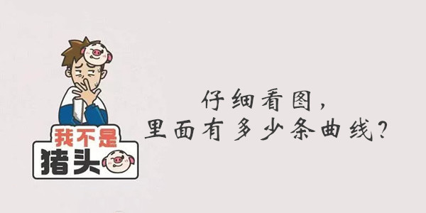 我不是猪头第16关答案是什么