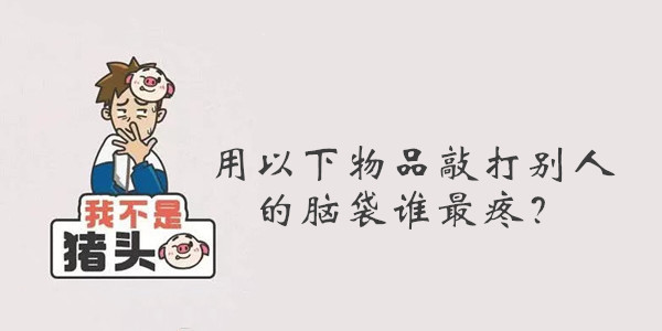 我不是猪头第5关用以下物品敲打别人的脑袋谁最疼答案是什么
