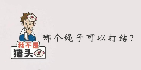 我不是猪头第35关答案是什么