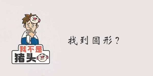 我不是猪头第42关答案是什么