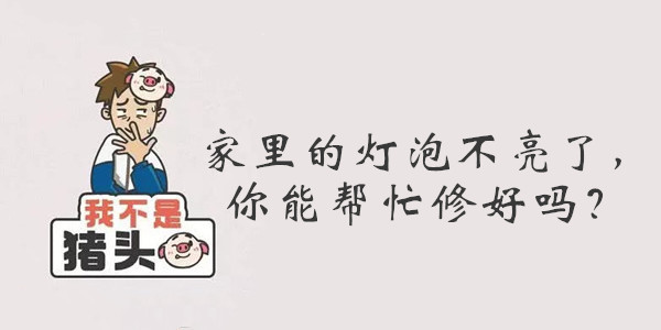 我不是猪头第41关答案是什么