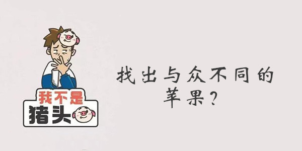 我不是猪头第64关答案是什么