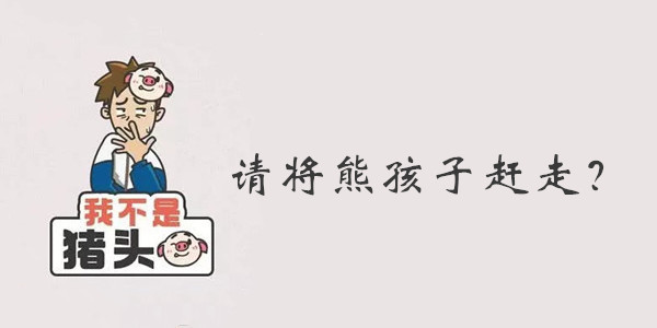 我不是猪头第73关答案是什么