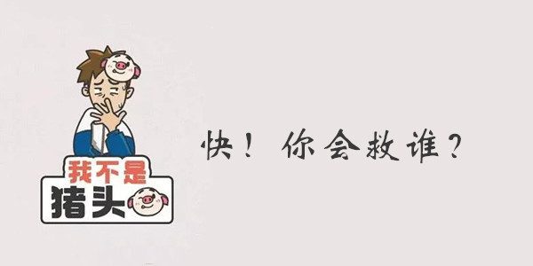 我不是猪头第53关答案是什么