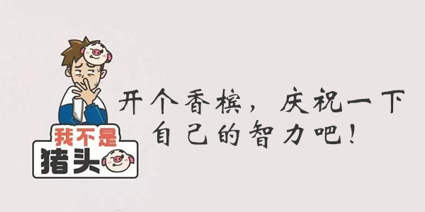 我不是猪头第49关答案是什么