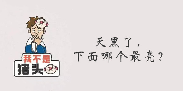 我不是猪头第80关答案是什么