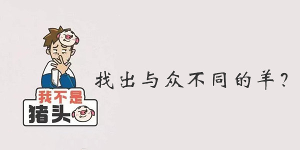 我不是猪头第92关答案是什么