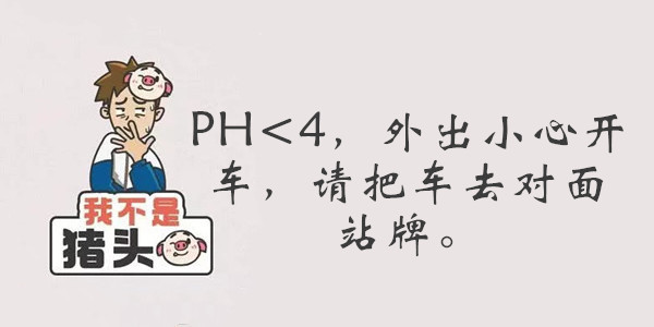 我不是猪头第111关答案是什么