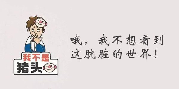 我不是猪头第101关答案是什么