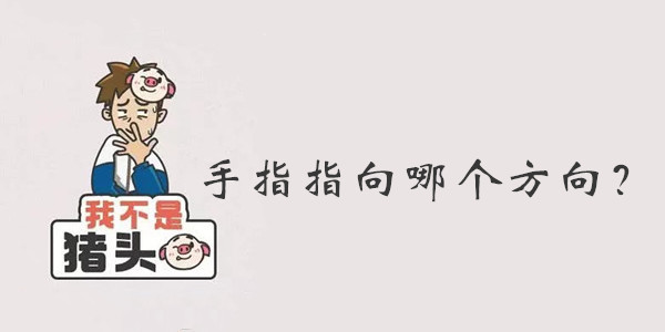 我不是猪头第85关答案是什么