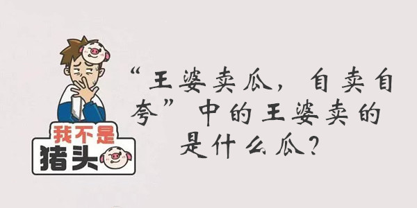 我不是猪头第116关答案是什么