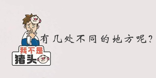 我不是猪头第115关答案是什么