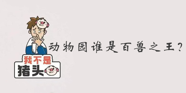 我不是猪头第114关答案是什么