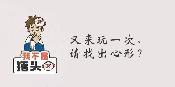 我不是猪头第113关答案是什么
