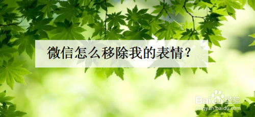 微信在哪可以删除我的表情