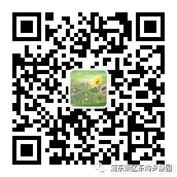 微信公众号东沟乡静园清明祭扫预约教程