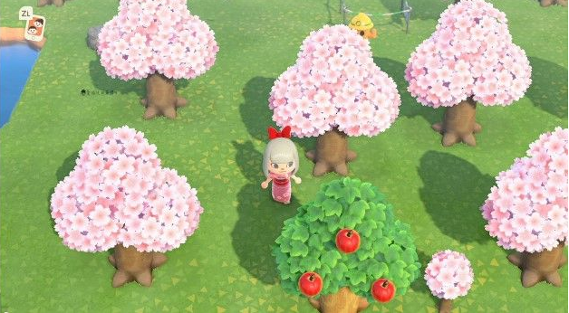 集合啦动物森友会樱花节需要多少樱花