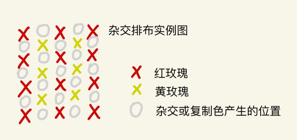 动物森友会稀有花怎么得