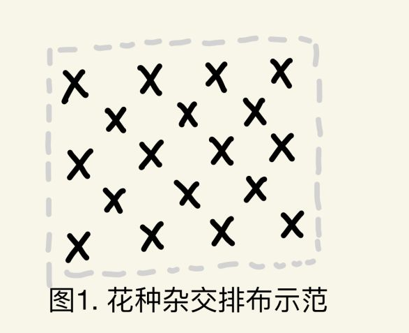 动物森友会稀有花怎么得