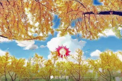 vivo漫画滤镜怎么弄