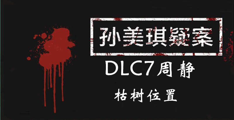 孙美琪疑案周静枯树线索怎么得