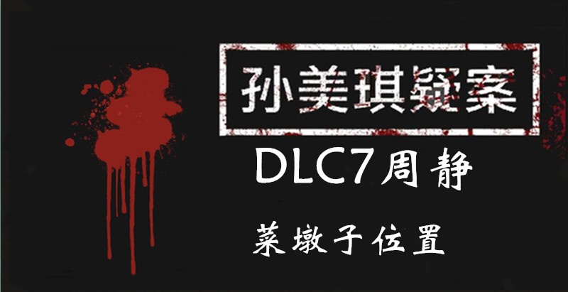 孙美琪疑案周静菜墩子线索怎么得