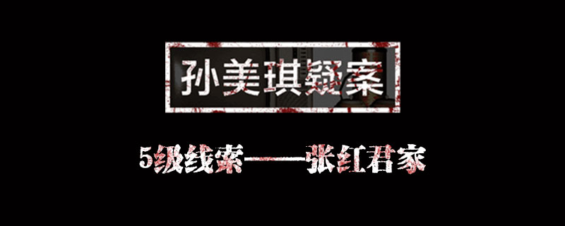 孙美琪疑案线索张红君家在哪里