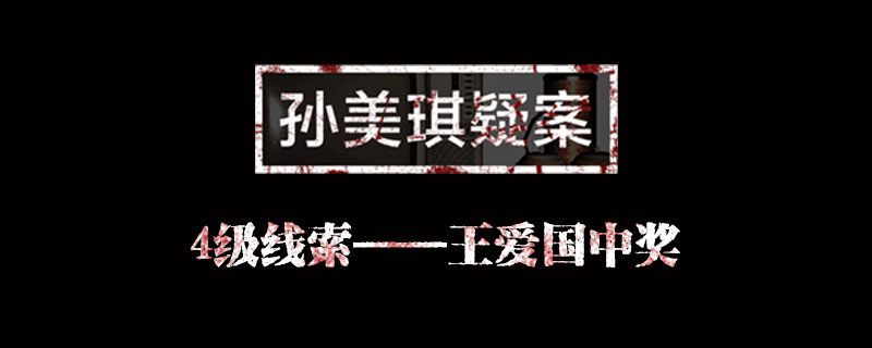 孙美琪疑案线索王爱国中奖在哪里